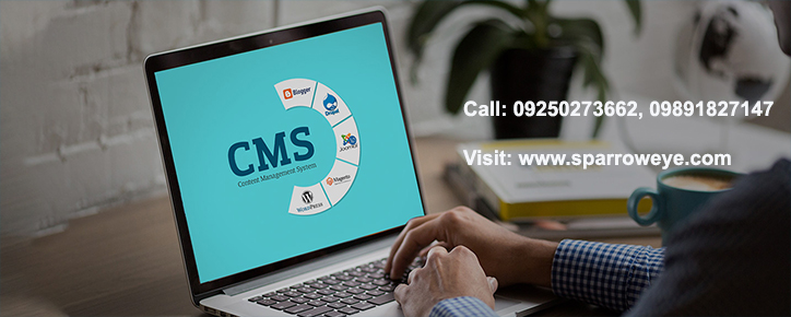 CMS Development in Delhi