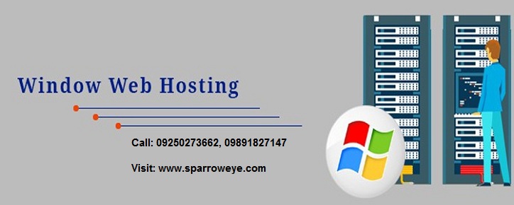 Windows Web Hosting